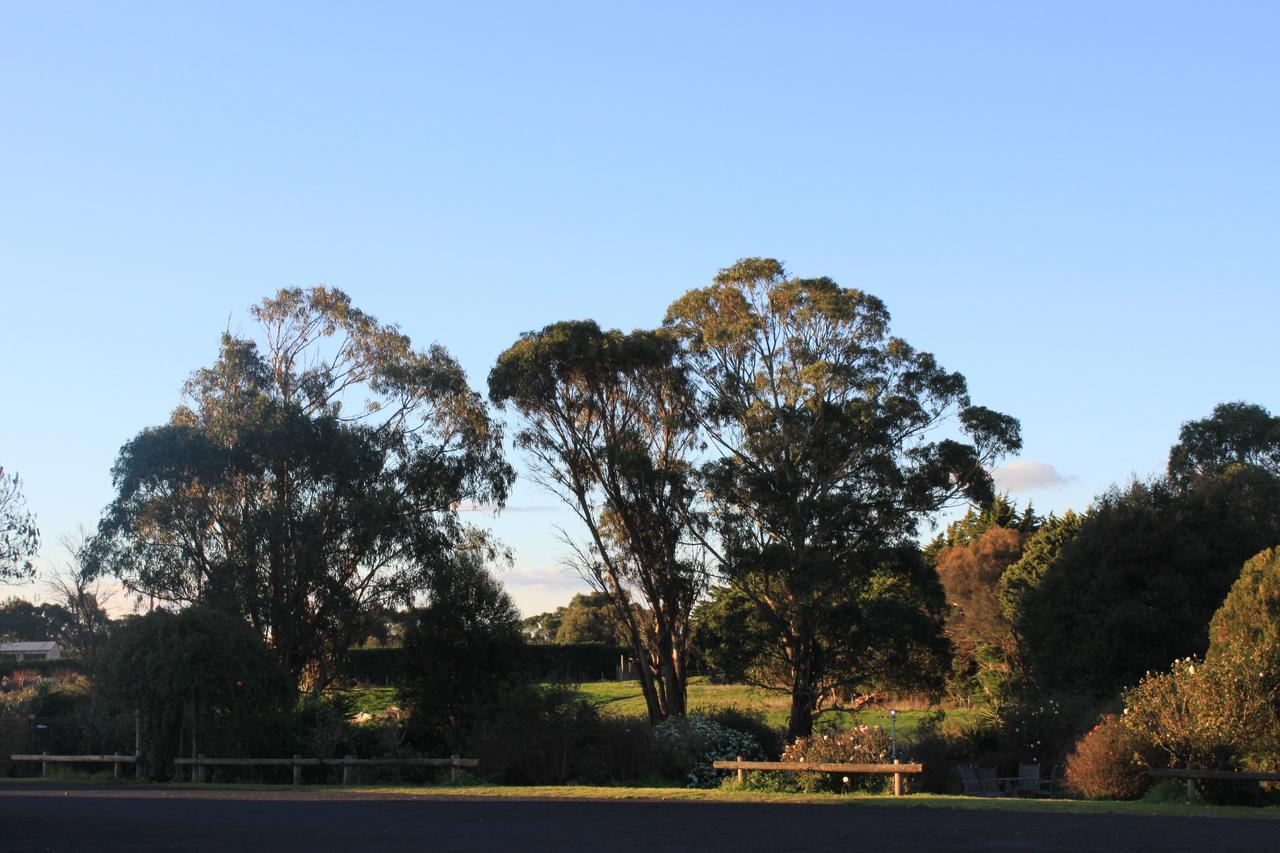 Mt Gambier International Motel Mount Gambier Kültér fotó