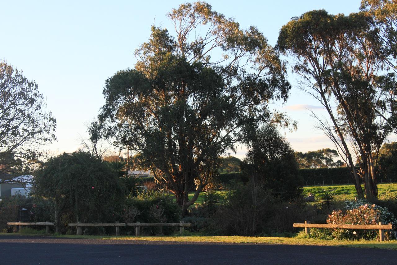 Mt Gambier International Motel Mount Gambier Kültér fotó